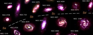 The images were created using observations from the Spitzer SINGS survey and the Herschel KINGFISH survey. Rather than stars, the images show dust between the stars, which is created by dying stars and forms some of the material from which stars are formed. The colour images are made by combining three different wavelengths. From http://www.astro.umd.edu/~rhc/bigbang/boxed/research_blog.html.