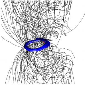 3D view of the inner part of a collapsing gas cloud, forming a star, where a bundle of twisted magnetic field lines is surrounded at the “waist” by a dense ring. The star is shown as a red dot located near the inner edge of the ring.